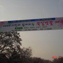 북일고 벚꽃 축제 이미지