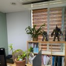 강서로52길 이미지