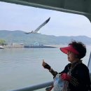 춤추는갈매기 이미지