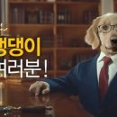 펫플래닛 이미지