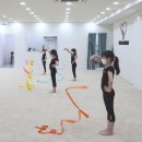 퓨어리듬체조아카데미