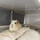 푸른세차장 | 너를 만나 시작됐어 나의 사랑의 계절