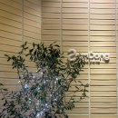 남구청 별관 화장실 | 울산 레스토랑 맛집 삼동 삼산 데이트 카페 화덕피자 파스타 스테이크 추천