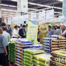 곡성-115 이미지