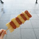 동양비닐 | 프리미엄 고속버스 후기! 가격, 좌석간격 굿~