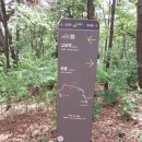 팔현길 이미지