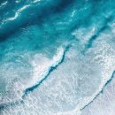 (주)돼지와 건강 이미지