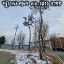 주덕농공길 이미지