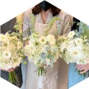 Wellness(건강한 삶)은 건강의 핵심이다 이미지