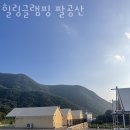 팔공산 글램핑 이미지