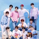 정글스토어 이미지