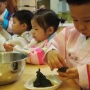 리틀베어 이미지