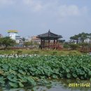 로마관광나이트 이미지