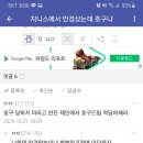 지니스 이미지