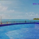 와우A오션뷰&수영장펜션 | {여수, 펜션, 오션뷰, 숙박, 추천!} 와우A 오션뷰&amp;수영장펜션 여수 와우A 펜션, 오션뷰 힐링