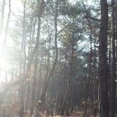 남산약수터 이미지