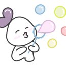 코코마미 네이버블로그
