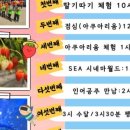 원탑태권도장 이미지