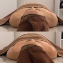 햄스터숄더 이미지