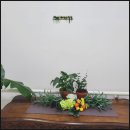 장안37 | 장안구요양원 어디가 좋을까? 사랑꽃요양원 직접 둘러본 후기