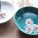 색연필 그림그리기 이미지