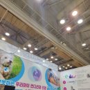 퍼피멍멍 | 2025 부산펫쇼 후기