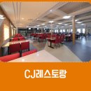 비행기 안 타고 제주도 가는 법 이미지