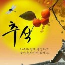 22세기서울치과병원 이미지