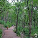 부산치유의숲 방문자센터 이미지