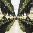 컨벤션아래 이미지