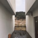 5마일 펜션 이미지