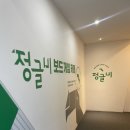 가족 보드게임 | 대구 동성로 실내놀거리 추천 정글비 보드게임카페 가족 방문 후기