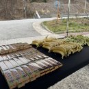 인다락벚꽃길 이미지