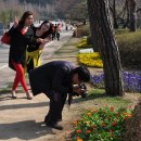 희원 이미지