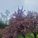 늘푸른전당 공연장 이미지