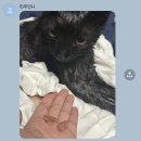 로드무비이