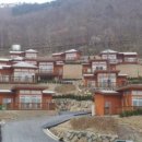 보성김밥 이미지