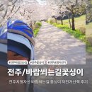 삼천대여소 | 전주치명자산 바람쐬는길 꽃싱이 자전거산책 후기