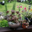 금수산펜션 이미지