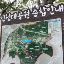 백일홍어린이공원 | 인천대공원 배롱나무 현황 및 위치 백일홍 코스모스 여름에 방문한 후기