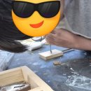 홍은초등학교 이미지