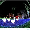 별빛랜드 이미지