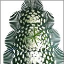 남성동053 이미지