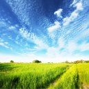 공용재산 토지 이미지