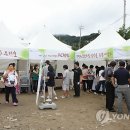행현1리 마을회관 이미지