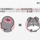 유한동물병원 이미지