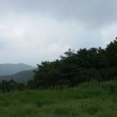 갈현장터