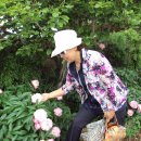 봉황초등학교 이미지