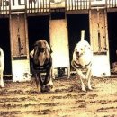 오빠야농장 이미지