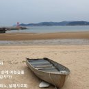세상사이로 네이버블로그